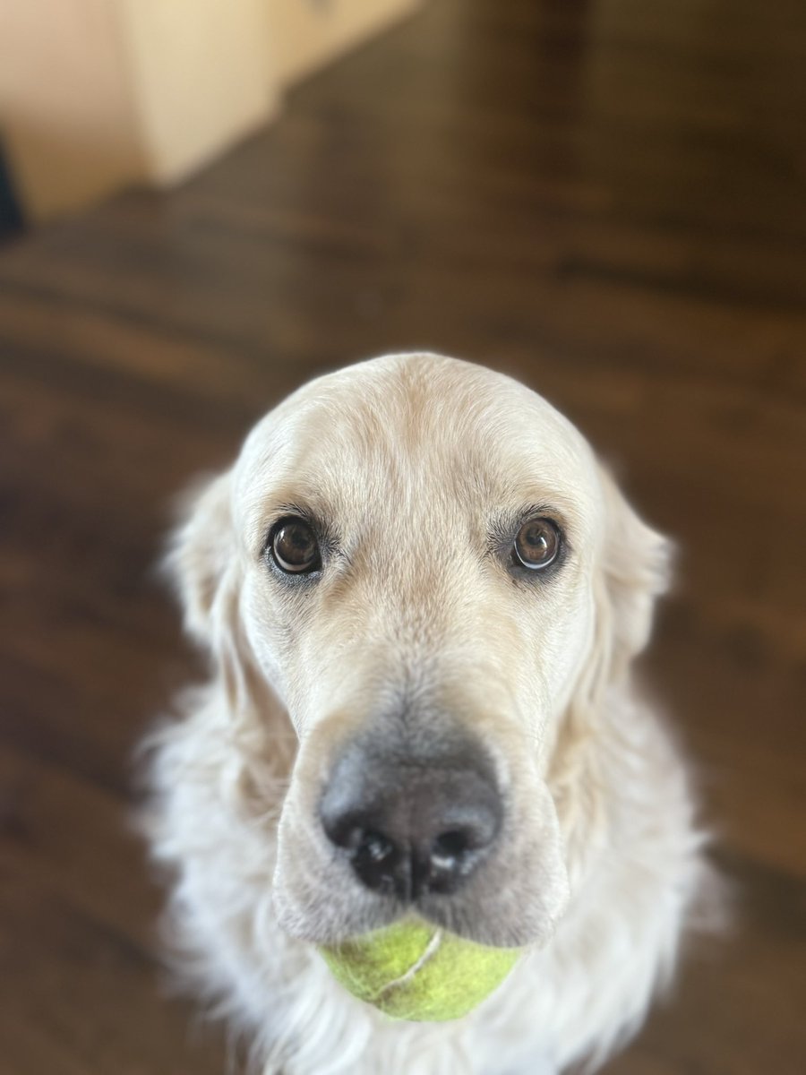 fietstwiets's tweet image. 