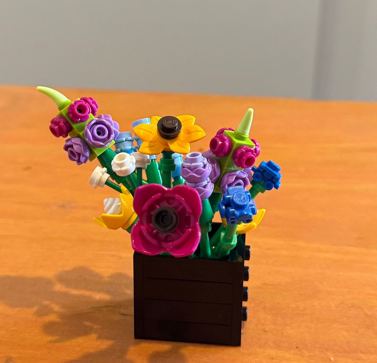 me regalaron las únicas flores que puedo mantener vivas