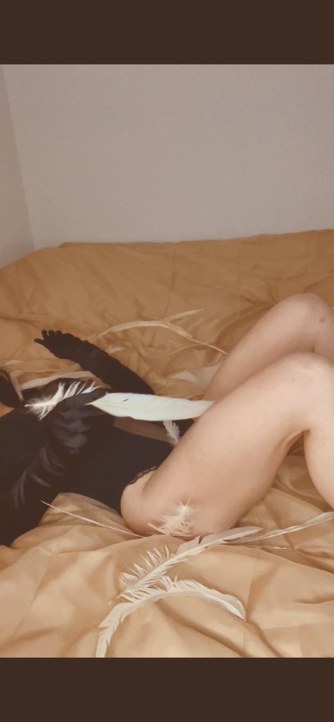 tinyteasefeet's tweet photo. What makes you break? 
My voice…
Or my silence? 

#facelesstease #femdom #glovedfetish #eroticcontrol #onlyfans https://t.co/wxIq3bH0GW
