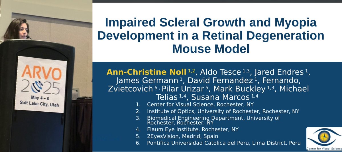 MarcoslabUr's tweet photo. Podium presentation
@arvoinfo #Myopia session by Ann-Christine Noll, on #scleral remodeling, eye biometry & refraction in rd10 mouse model. Great presentation by our most junior
@marcoslabur @TeliasLab
@cvsuor
attendee #RochesterOptics 👏🏼👏🏼👏🏼#ARVO2025 https://t.co/eHR2eixu7Y