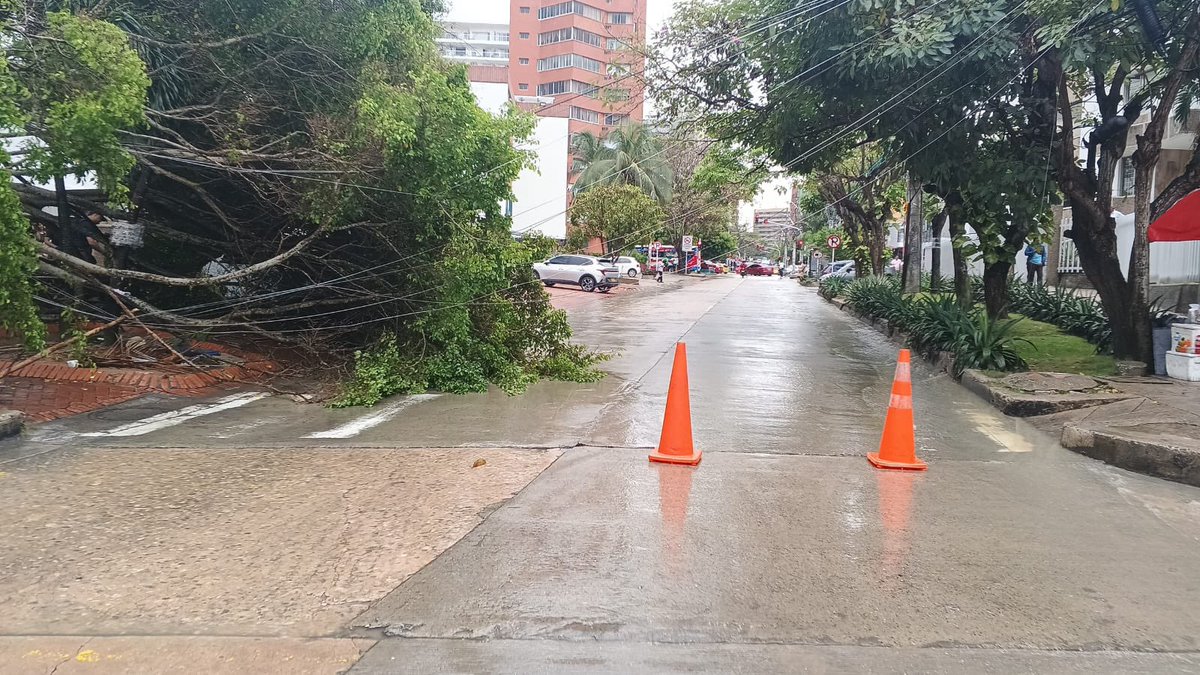 Secretaría de Tránsito de Barranquilla (@transitobaq) on Twitter photo #AEstaHora⏰ Cuerpo de Bomberos se encuentran en el lugar realizando la poda y retiro del árbol. <a href="/alcaldiabquilla/">Alcaldía de Barranquilla</a>
🚧Se presenta cierre vial preventivo de la calle 82 para despejar el árbol de la zona. #AEstaHora⏰ Cuerpo de Bomberos se encuentran en el lugar realizando la poda y retiro del árbol. <a href="/alcaldiabquilla/">Alcaldía de Barranquilla</a>
🚧Se presenta cierre vial preventivo de la calle 82 para despejar el árbol de la zona.