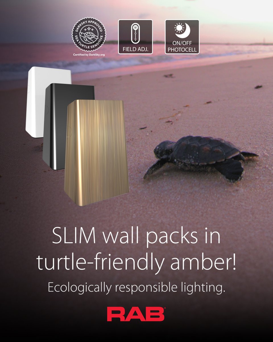 Discover our turtle-friendly amber SLIM models! These shielded wall packs reduce light pollution and direct light precisely. Perfectly paired with our amber ALEDs for a complete outdoor solution. DarkSky certified as Sea Turtle Sensitive. Learn more: hubs.ly/Q03l5cbG0