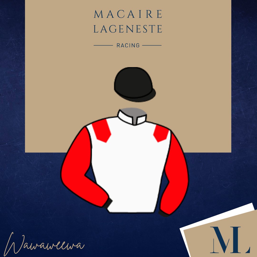H. de Lageneste & G. Macaire (@hdl_gm_racing) on Twitter photo ๐๐๐ฎ๐ฑ๐ข๐ฬ๐ฆ๐ ๐ฏ๐ข๐๐ญ๐จ๐ข๐ซ๐ ๐๐จ๐ง๐ฌ๐ฬ๐๐ฎ๐ญ๐ข๐ฏ๐ ๐ฉ๐จ๐ฎ๐ซ ๐๐๐ฐ๐๐ฐ๐๐๐ฐ๐
๐๐๐ฅ๐ฅ๐ค๐๐ง๐ค๐ข๐ ๐๐ ๐ฝ๐ค๐ง๐๐๐๐ช๐ญ
Fille de la championne Whetstone, ๐ช๐ฎ๐๐ฎ๐๐ฒ๐ฒ๐๐ฎ (๐๐ฐ ๐๐ฟ๐ฒ๐ฎ๐ ๐ฃ๐ฟ๐ฒ๐๐ฒ๐ป๐ฑ๐ฒ๐ฟ) s'impose dans le Prix de Parempuyre.
#ecuriemacairelageneste ๐๐๐ฎ๐ฑ๐ข๐ฬ๐ฆ๐ ๐ฏ๐ข๐๐ญ๐จ๐ข๐ซ๐ ๐๐จ๐ง๐ฌ๐ฬ๐๐ฎ๐ญ๐ข๐ฏ๐ ๐ฉ๐จ๐ฎ๐ซ ๐๐๐ฐ๐๐ฐ๐๐๐ฐ๐
๐๐๐ฅ๐ฅ๐ค๐๐ง๐ค๐ข๐ ๐๐ ๐ฝ๐ค๐ง๐๐๐๐ช๐ญ
Fille de la championne Whetstone, ๐ช๐ฎ๐๐ฎ๐๐ฒ๐ฒ๐๐ฎ (๐๐ฐ ๐๐ฟ๐ฒ๐ฎ๐ ๐ฃ๐ฟ๐ฒ๐๐ฒ๐ป๐ฑ๐ฒ๐ฟ) s'impose dans le Prix de Parempuyre.
#ecuriemacairelageneste