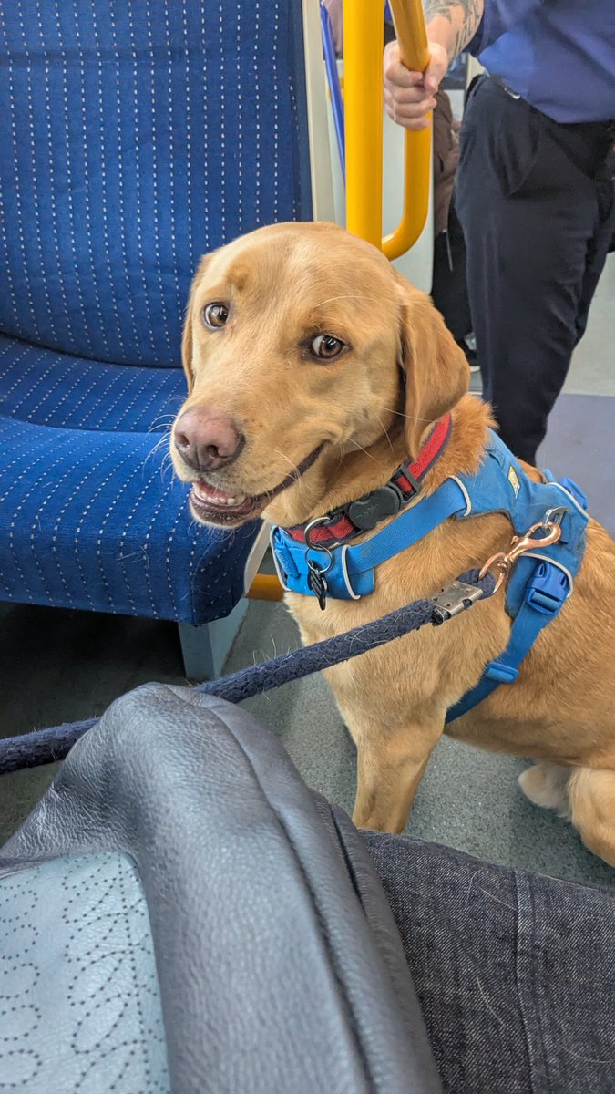 Wish I'd realised sooner it was <a href="/olivercoppard/">Oliver Coppard</a> nipping in the bar on Kelham Island for a quick one before heading back to the snooker ,  I would have said thank you for Rudy being able to go home on the tram 👍☺️ #sheff