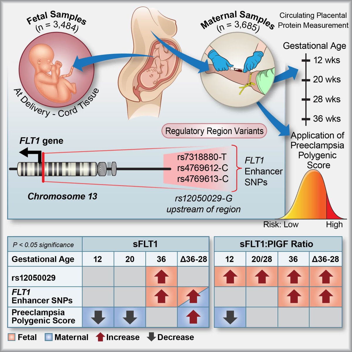 Hypertension (@hyperaha) on Twitter photo RESEARCH ARTICLE:
Genetic variants associated with preeclampsia and maternal serum sFLT1 levels <a href="/gcs_smith/">Gordon Smith</a> @jasamack @Franci_PJ <a href="/ullasovio/">Dr Ulla Sovio</a>
ahajrnls.org/4m8biAK RESEARCH ARTICLE:
Genetic variants associated with preeclampsia and maternal serum sFLT1 levels <a href="/gcs_smith/">Gordon Smith</a> @jasamack @Franci_PJ <a href="/ullasovio/">Dr Ulla Sovio</a>
ahajrnls.org/4m8biAK