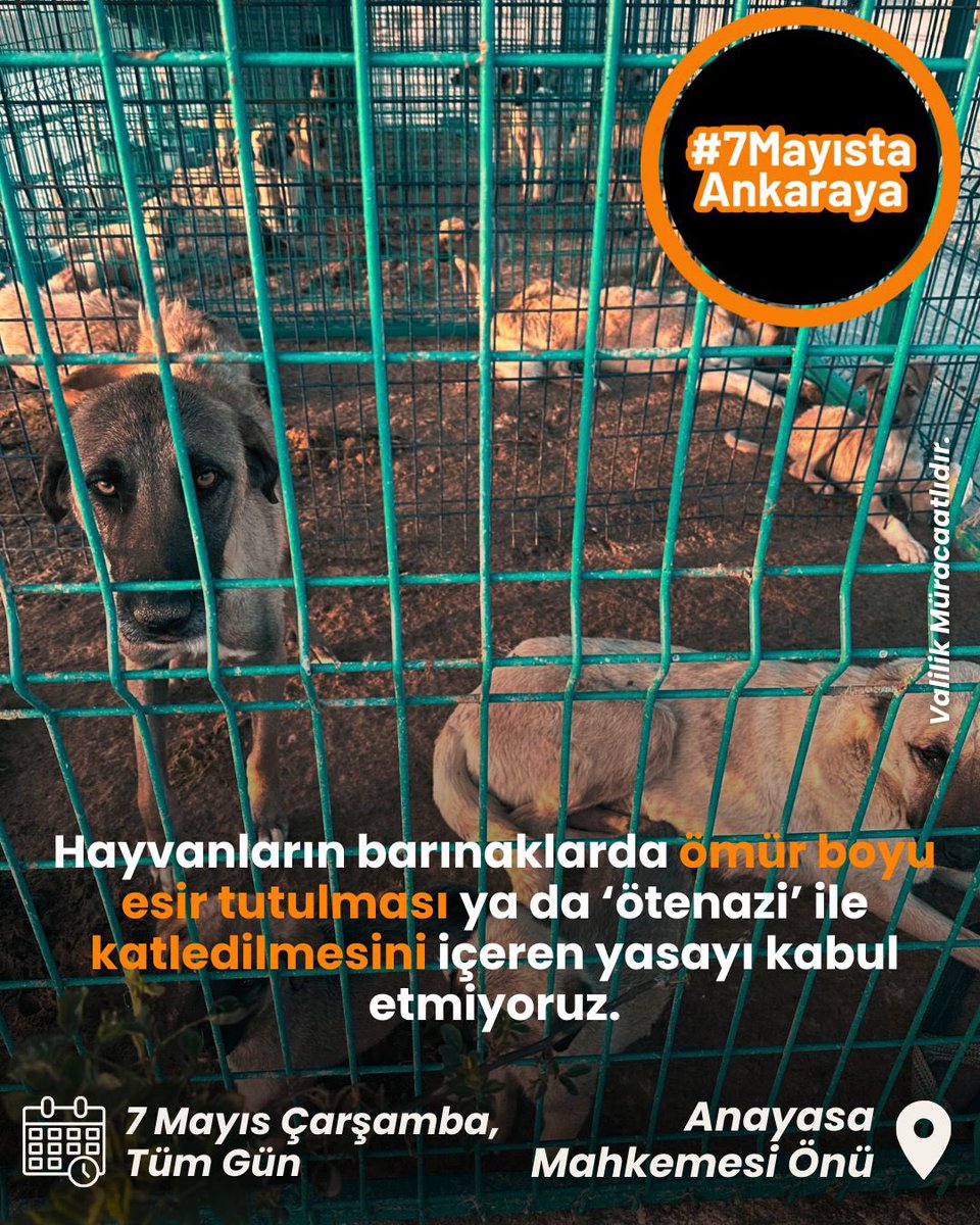 Tüm Türkiye’ye sesleniyoruz!

En Temel Hak Olan “YAŞAM HAKKINI"  ötanazi adı altında ÖLÜM maddeleri ile hayvanları felakete, katliama sürükleyen yasa 7 Mayıs 2025 Çarşamba günü Anayasa Mahkemesinde görüşülecek.

Anayasa Mahkemesinin Önünde, Ahlatlıbel Parkında 7 Mayıs 2025