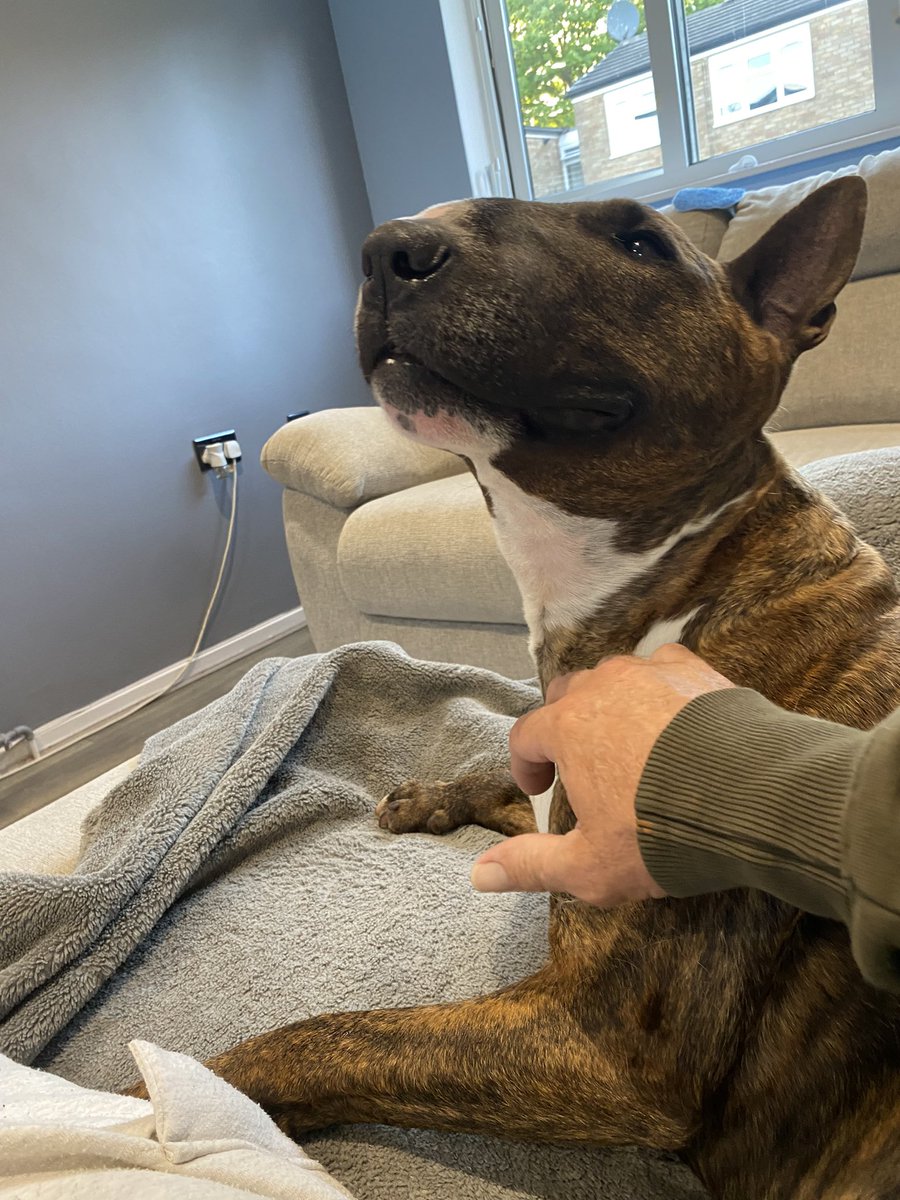 Ahhh yer that’s the spot