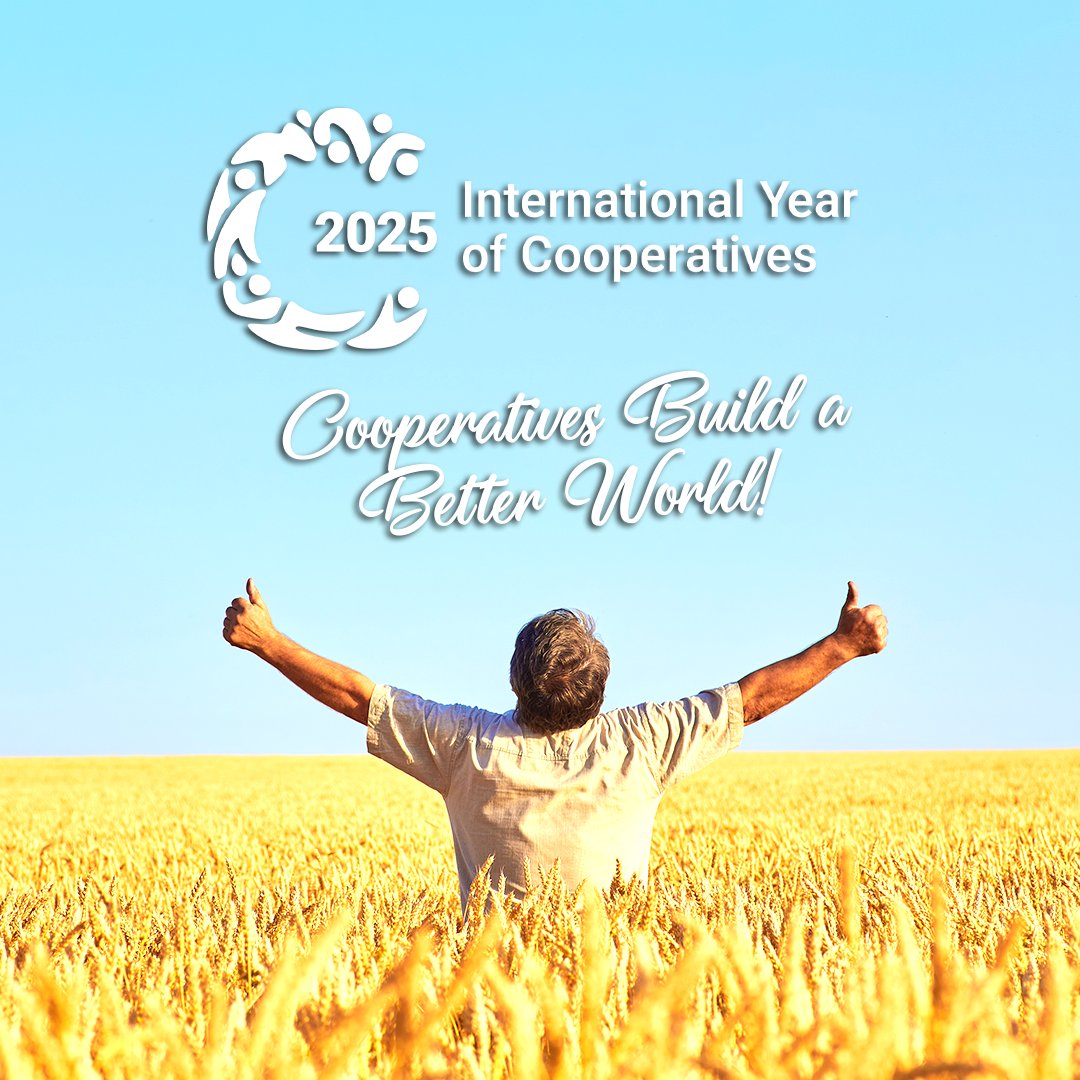The UN has declared 2025 the International Year of Cooperatives – a global celebration of cooperatives, their shared values, and the results of their collective action.  

#IYC2025 #creditunion #unitednations #cooperative #cooperatives #cooperativevalues #values #international