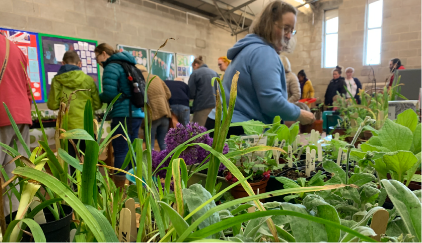 Big Plant Swap, Saturday 17th May 🌱 - mailchi.mp/1757a8816f88/b…