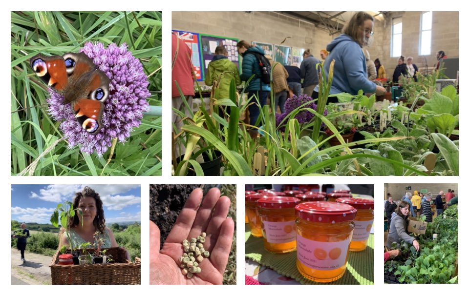 Ready for some plants? Join in our Big Plant Swap. Veg plants, salads, herbs, fruit &amp; wildlife-friendly flowers. Stalls, activities, refreshments &amp; lunch.

📅Sat 17th May
⏰10am - 1pm
📍Newsome Scout Hall
growingnewsome.wordpress.com/2025/05/03/big…