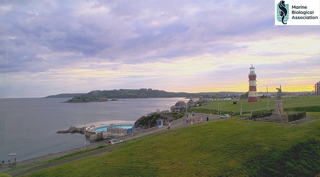 Here comes summer? 
As Steve Harley once said. 
Come up and see me. Make me smile.