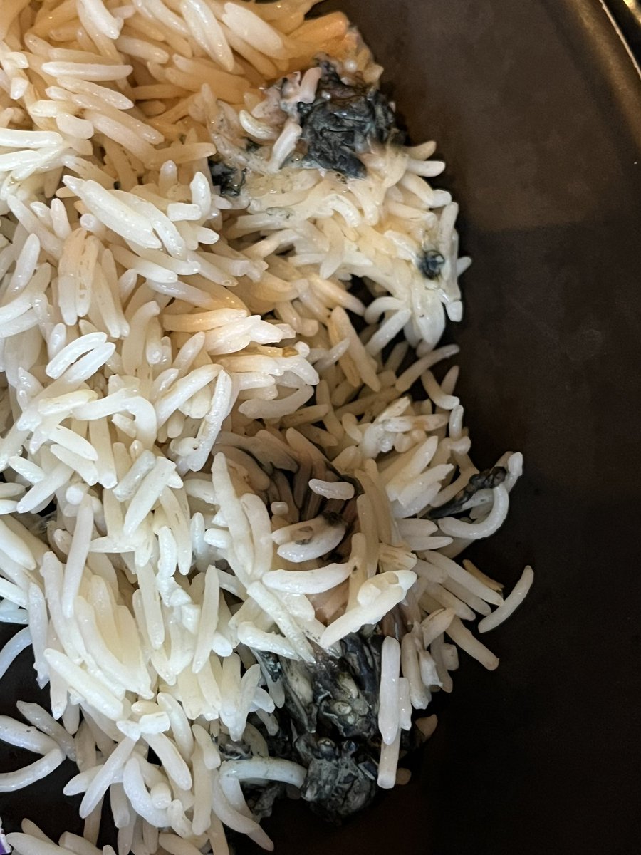 theGeekUG's tweet photo. Burrito night tonight and had @tesco Jacks rice. Everyone made their burritos and I made mine last. Poured the rice onto my burritos and moldy rice fell out. My family had mostly finished when I shouted stop. Hoping they don’t get sick!! Wasted a lot of food! #everylittlehelps 😡 https://t.co/Dh3FCuxDC1