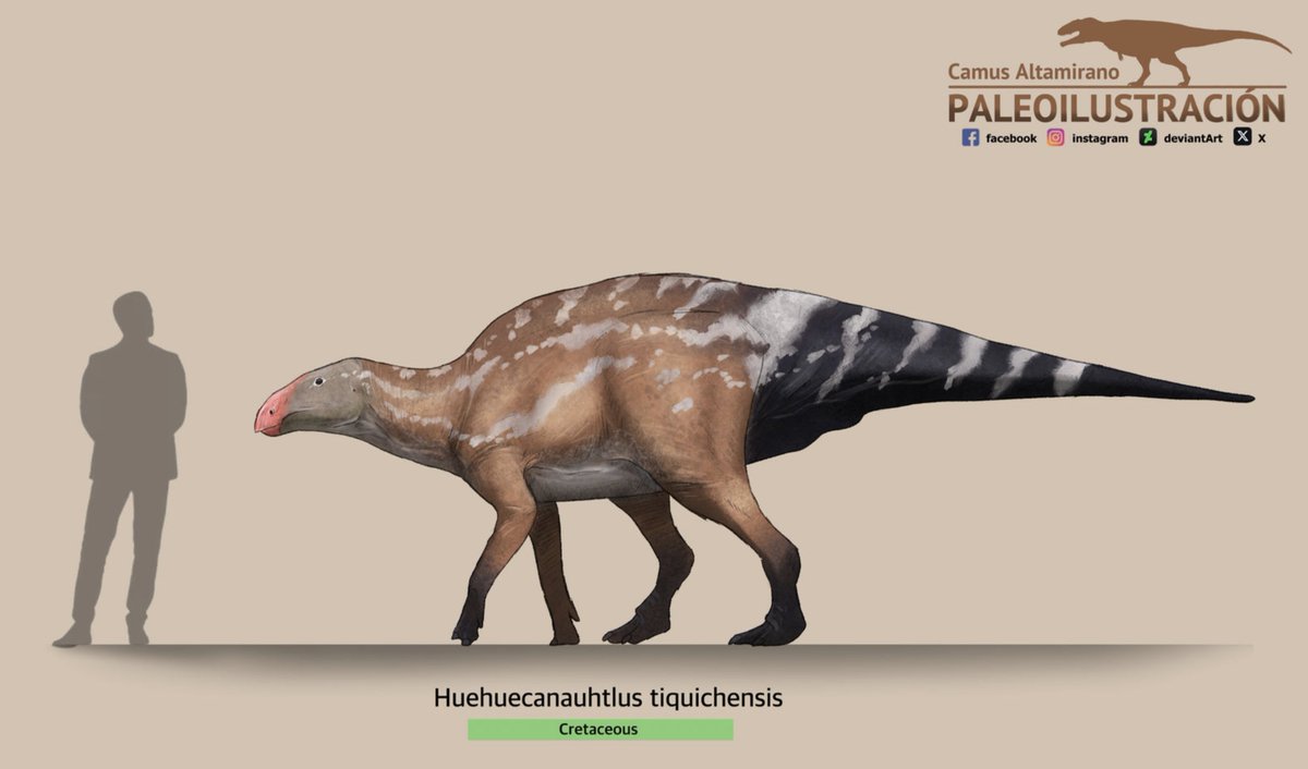 Huehuecanauhtlus tiquichensis, old and new reconstructions. Using the skeleton of my paisa <a href="/Barrerasaurus/">Dani Barrera Guevara</a> 

Colors inspired by the black-bellied whistling duck (Dendrocygna autumnalis).
