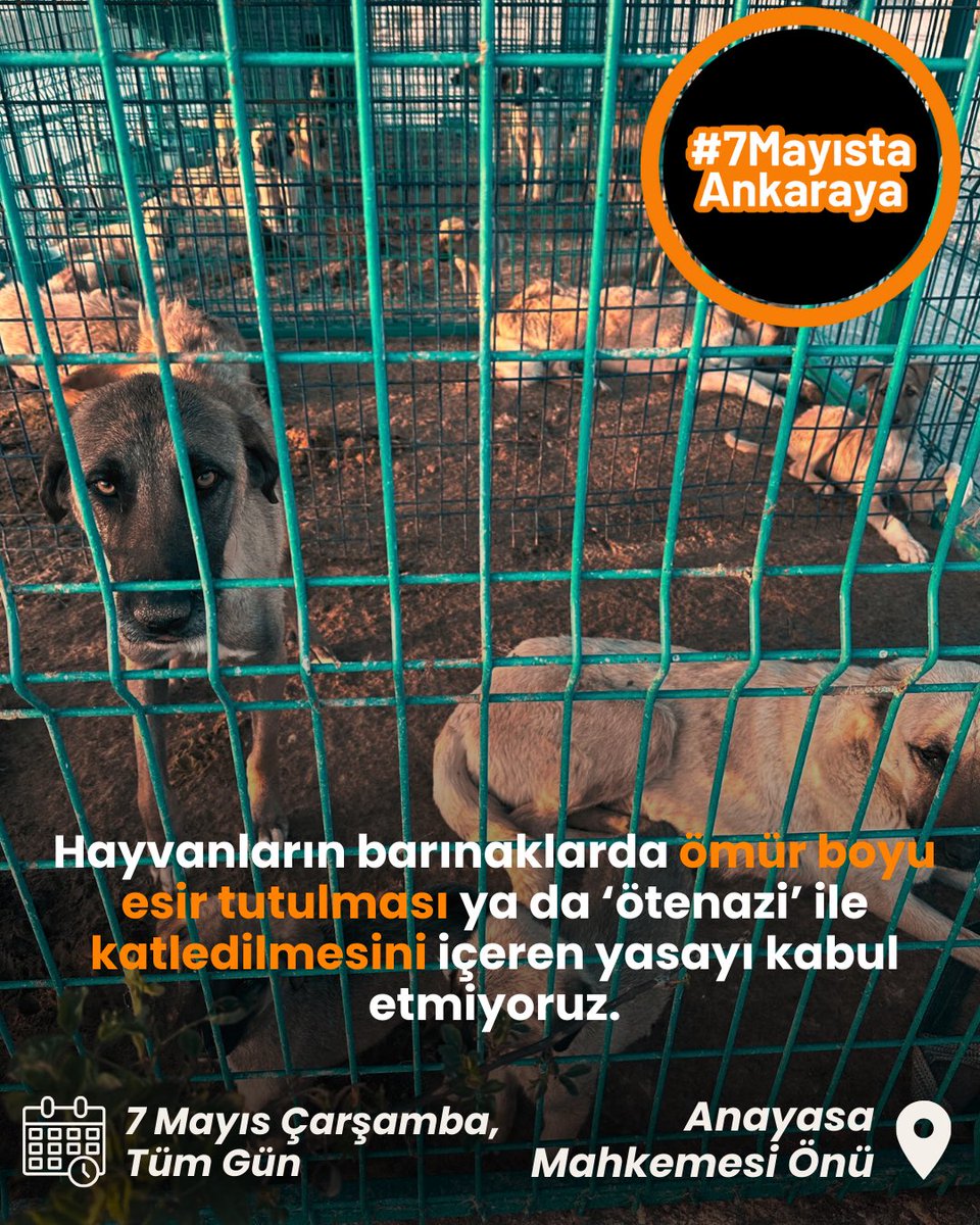 “Toplumun önemli bir kesiminin vicdanını yaralayan, geri dönüşü olmayan zararlar doğuran ve hiçbir bilimsel temele dayanmayan bu düzenlemeler yerine; etkin kısırlaştırma programlarının hayata geçirilmesini, üretim-satış ve terk etmenin durdurulmasını öngören daha insancıl,