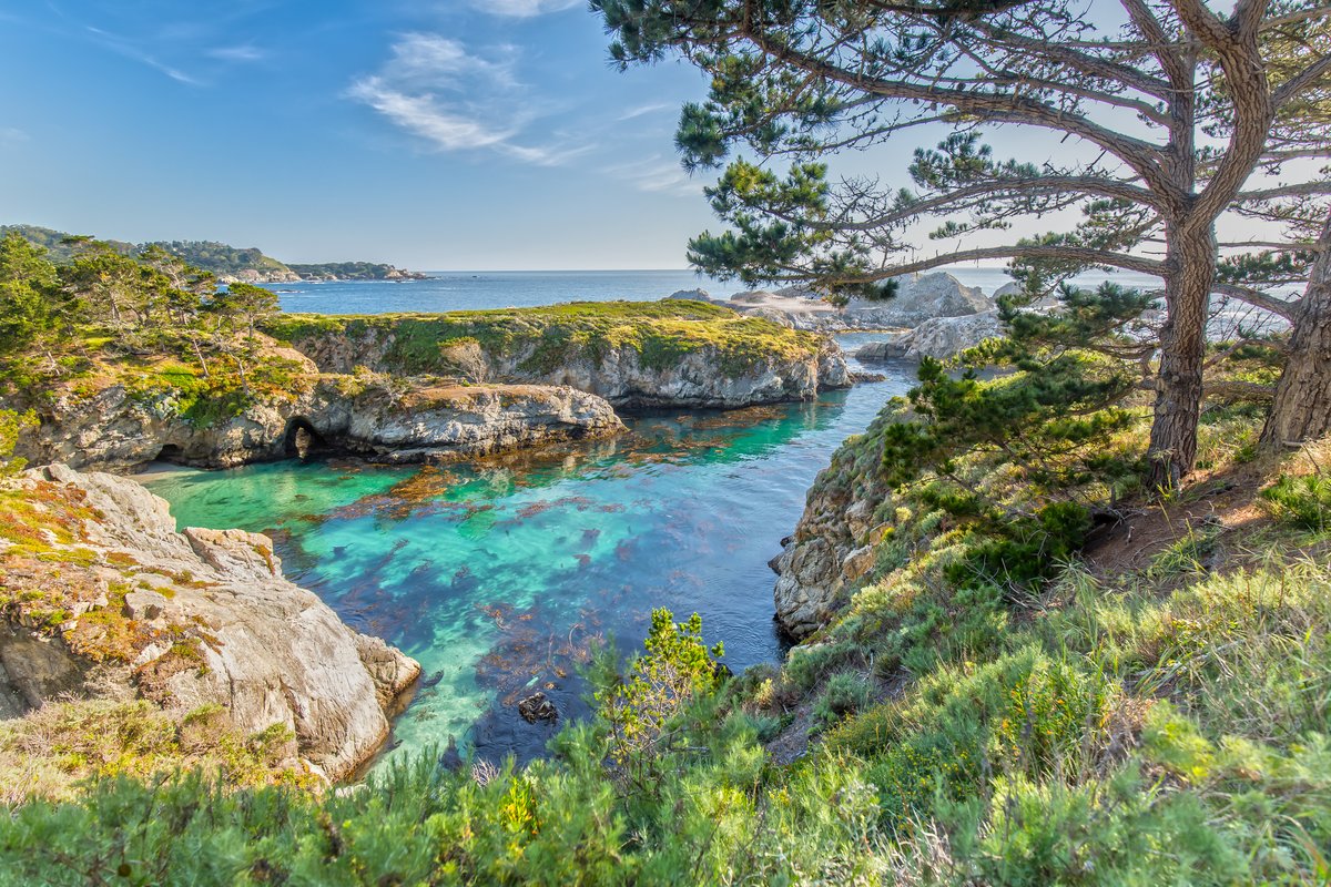 See Monterey (@seemonterey) on Twitter photo After many years, we will no longer post on X. Thank you for your support and engagement over the years.
Stay connected with us at <a href="/SeeMonterey/">See Monterey</a> on:
📍 Instagram📍 TikTok 📍 Facebook📍 YouTube📍 LinkedIn
#SeeMonterey After many years, we will no longer post on X. Thank you for your support and engagement over the years.
Stay connected with us at <a href="/SeeMonterey/">See Monterey</a> on:
📍 Instagram📍 TikTok 📍 Facebook📍 YouTube📍 LinkedIn
#SeeMonterey