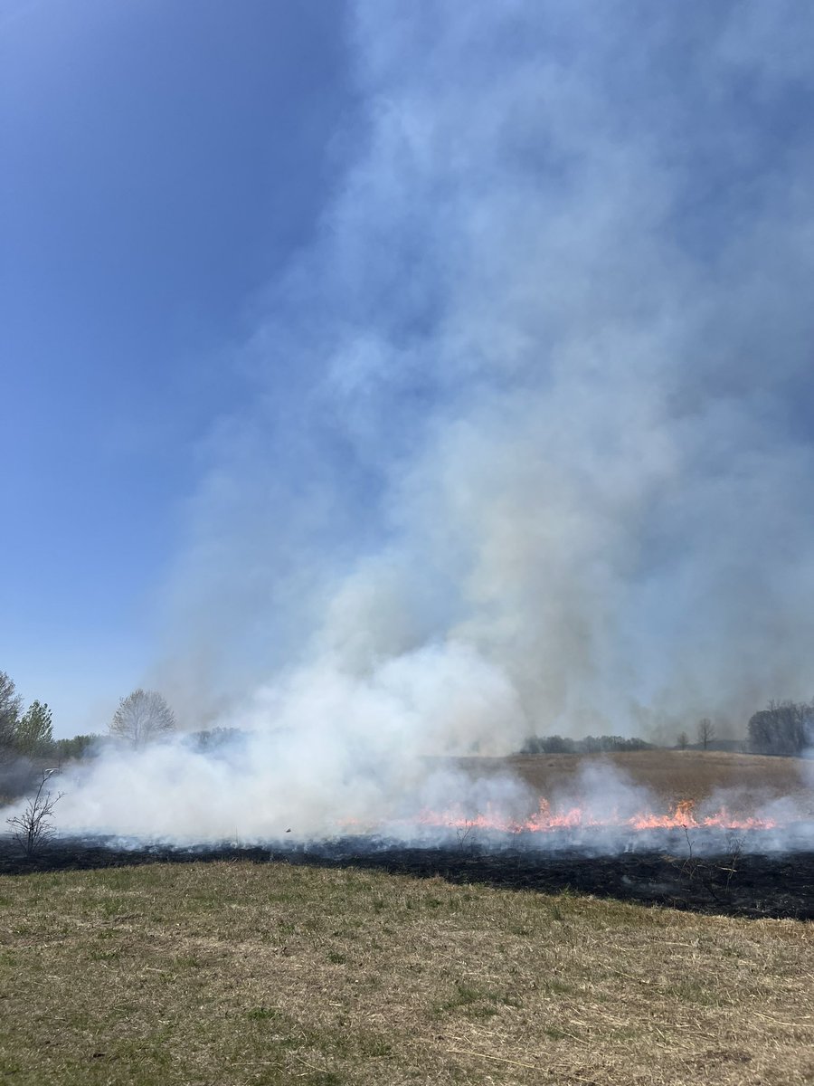 threeriverspark's tweet image. We are at Crow Hassan Park Reserve burning prairie. Tune into @ccxnews later today for the story.