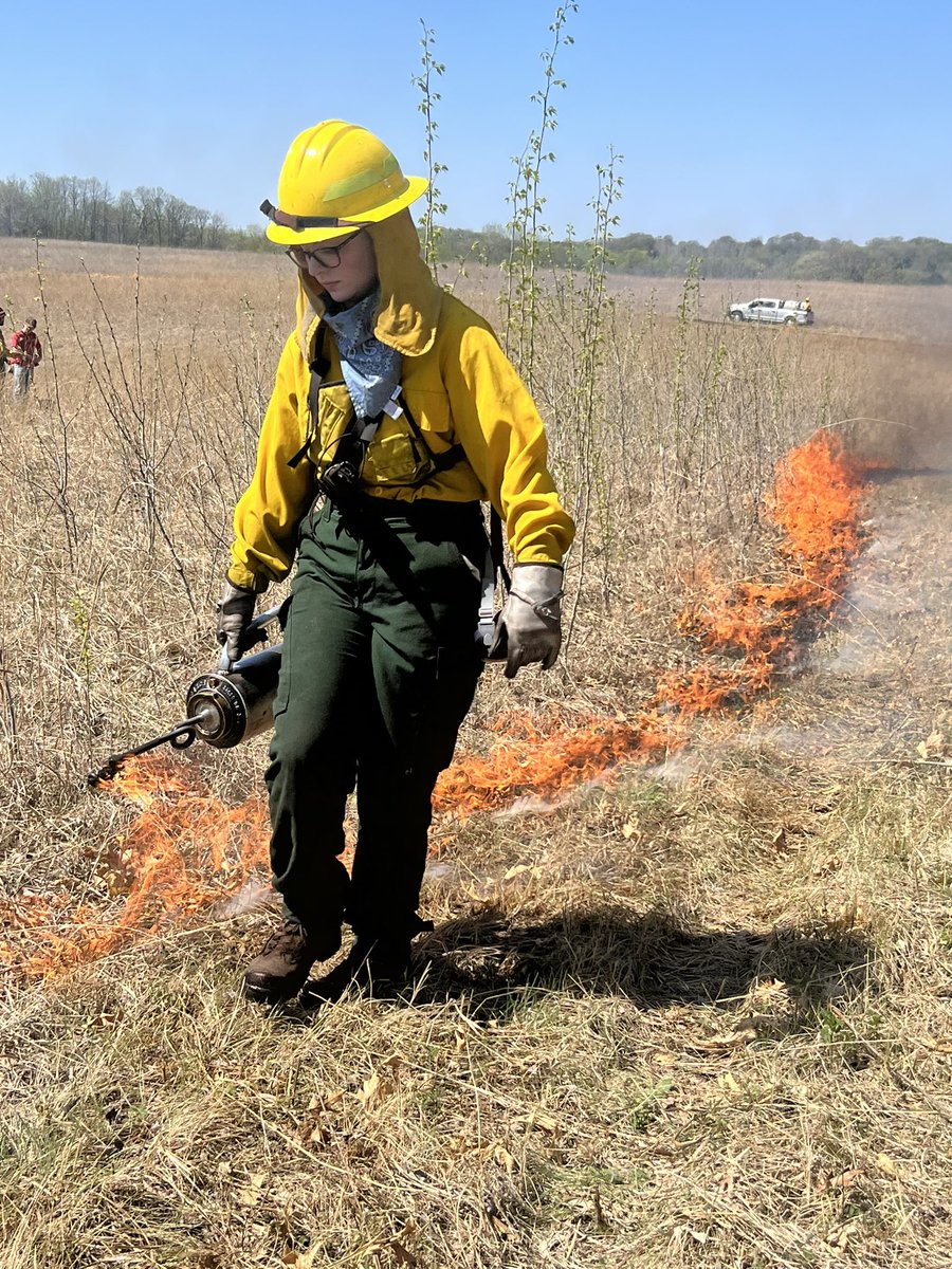 threeriverspark's tweet image. We are at Crow Hassan Park Reserve burning prairie. Tune into @ccxnews later today for the story.