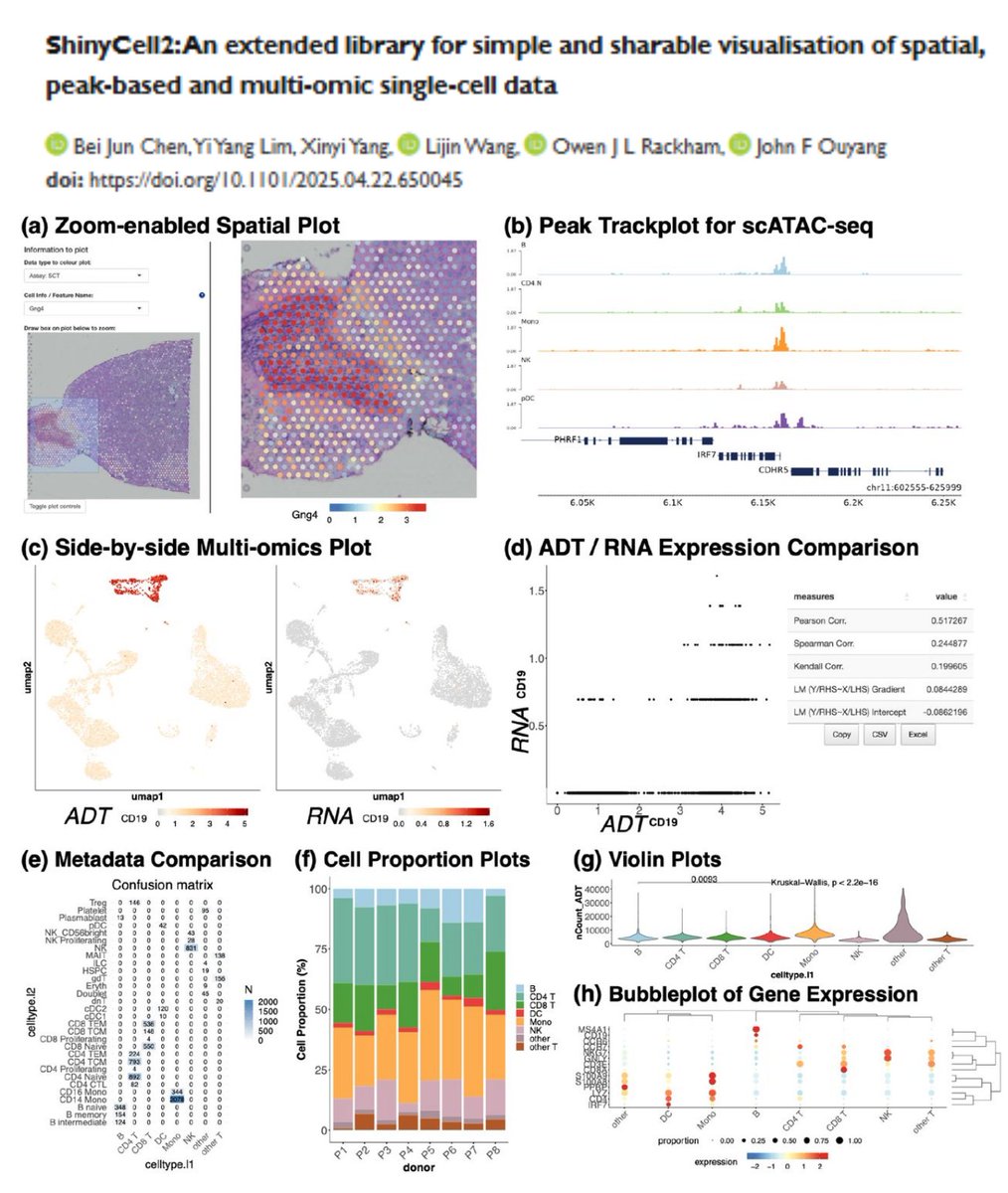 HaoYin20's tweet photo. Want to visualize & create a website for your omics data (+CITEseq scATACseq #SpatialTranscriptomics)?

Try ShinyCell2!😆

Compatible with data formats Seurat Signac ArchR Scanpy (other formats converted by sceasy) (also imaging-based ST data?😁)

vs cellxgene WebAtlas Vitessce

https://t.co/89xxAVwVnN

@OwenRackham @imouyang bioRxiv 2024
https://t.co/gLDW6DBMgm