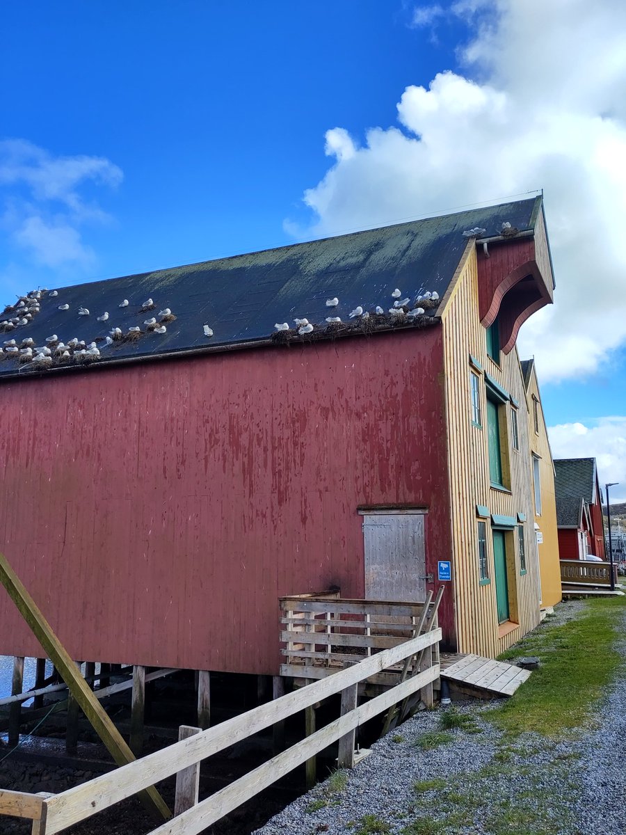 Nina Dehnhard tweet media