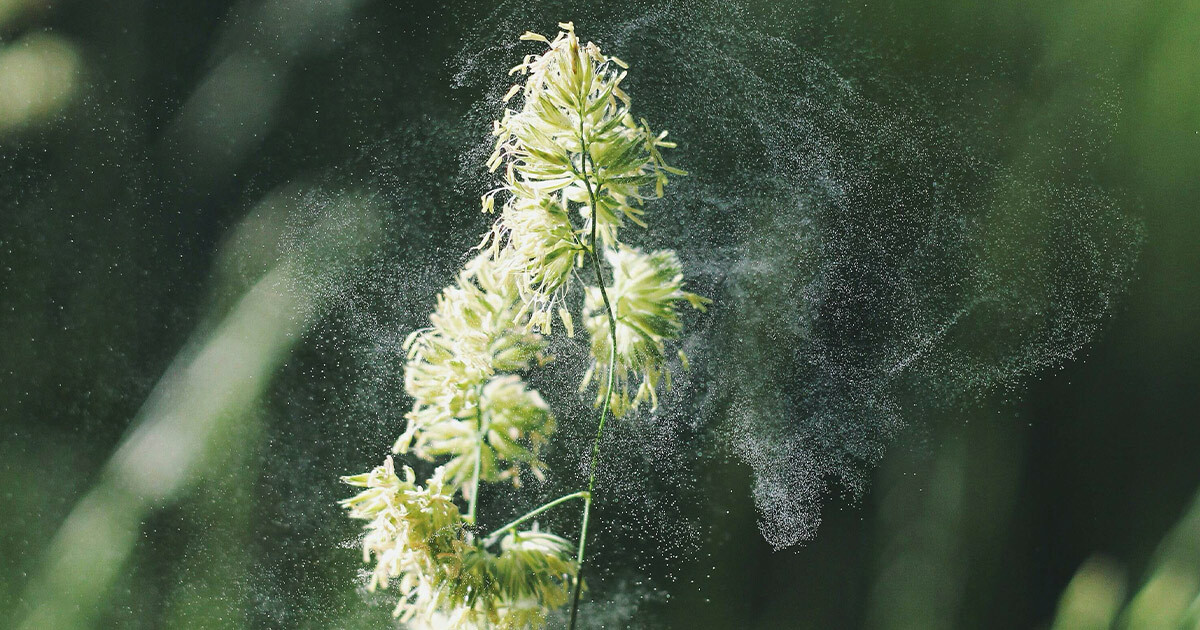 Allergies affect millions – but they don’t always get the research spotlight they deserve. In our latest blog, we explore the unique challenges of allergy trials and how thoughtful study design can lead to better outcomes for everyone. Read more: bit.ly/4jIm66U