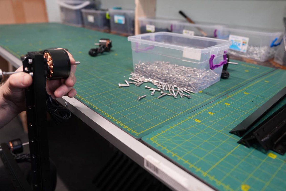 Wild Hornets tweet media