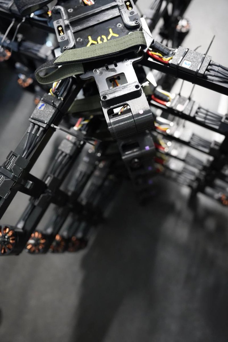 Wild Hornets tweet media