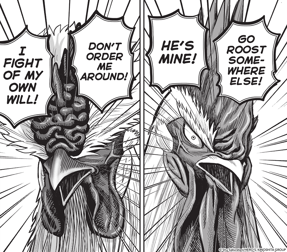 Rooster Fighter (@roosterfighter_) on Twitter photo I smell a cock fight coming!🐔😱 #RoosterFighter
<a href="/shu_sakuratani/">桜谷シュウ 『ニワトリ・ファイター Rooster Fighter』第9巻 発売中!</a> <a href="/VIZMedia/">VIZ Media</a> <a href="/niwatorifighte1/">ニワトリ・ファイター【公式】</a> I smell a cock fight coming!🐔😱 #RoosterFighter
<a href="/shu_sakuratani/">桜谷シュウ 『ニワトリ・ファイター Rooster Fighter』第9巻 発売中!</a> <a href="/VIZMedia/">VIZ Media</a> <a href="/niwatorifighte1/">ニワトリ・ファイター【公式】</a>