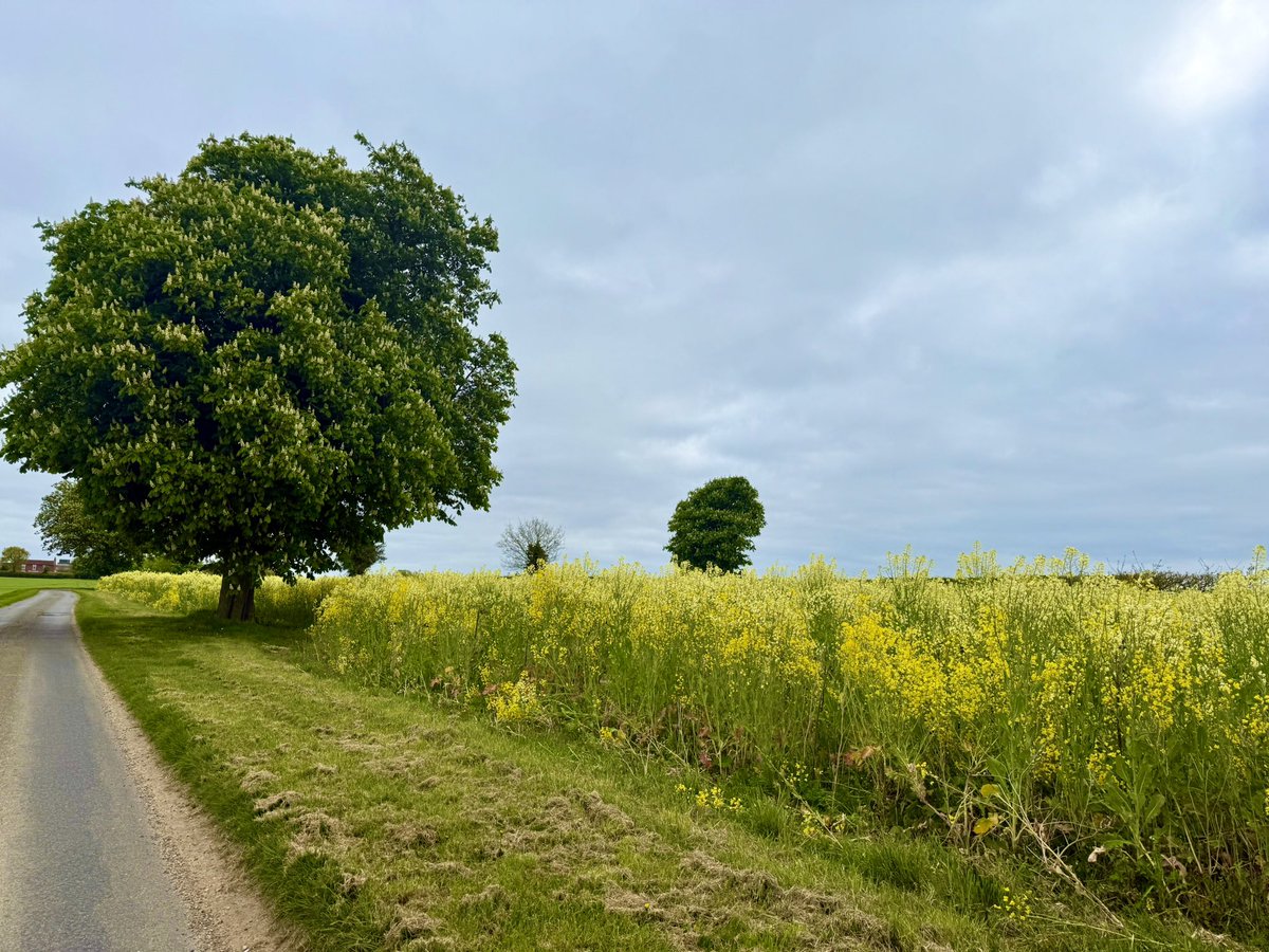 If times are hard or you need to speak to someone remember <a href="/yanafarming/">YANA</a>  are there to help. The worry of no rain or just things getting to much remember good to talk .
#ruralmentalhealth #strongertogether #youarenotalone #farming #MentalHealthMatters #bekind