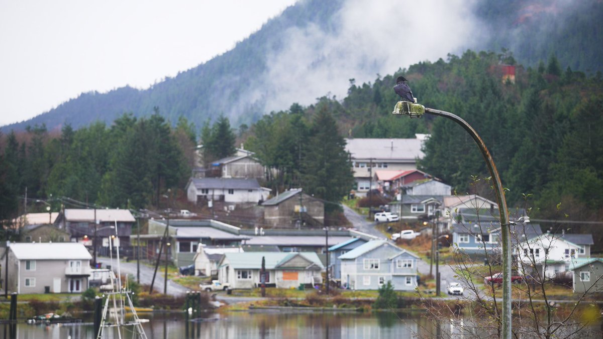 kxaquaculture's tweet photo. 🐟 By backing Indigenous-led aquaculture, we enhance food security not only for our remote coastal communities but for all Canadians. @MarkJCarney#BC #FOPO #POFO #foodsecurity https://t.co/AD2cUHUgNW
