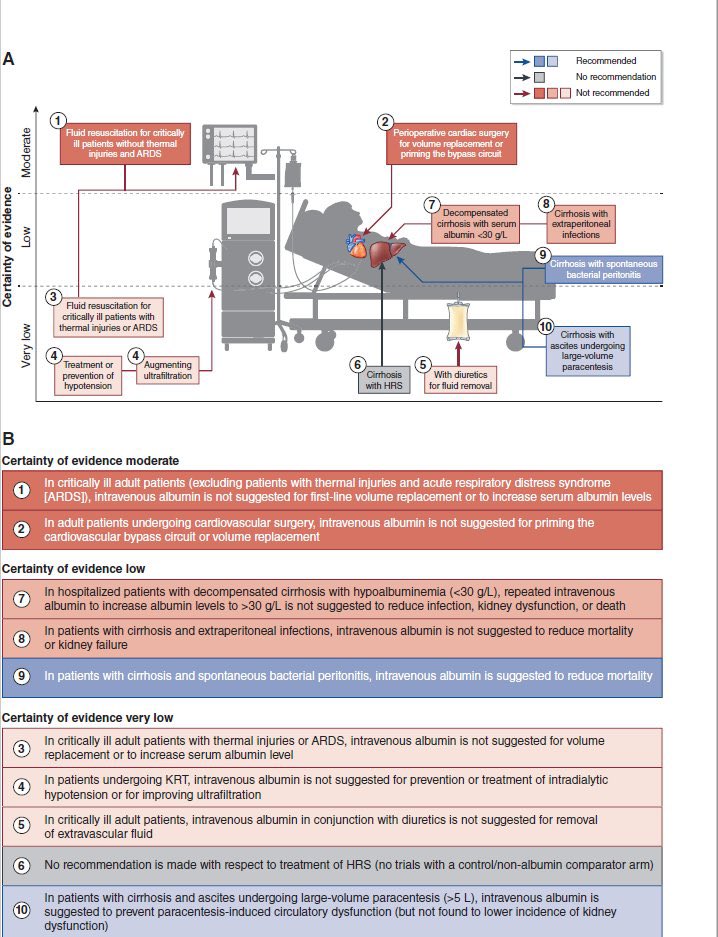 ✨Intravenous albumin in critically ill

bit.ly/JASN0750

<a href="/asnpublications/">ASN Publications</a>