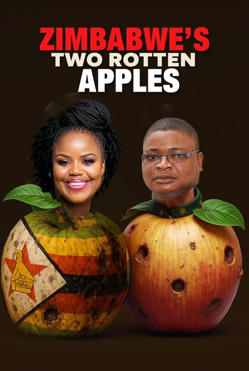 Zimbabwe's Two Rotten Apples

One of life's greatest follies is assuming that what matters to us matters equally to others. That our fears are shared, our desires understood, our sense of decency mutual. Quite the contrary, reality proves stranger. That which disgusts you may
