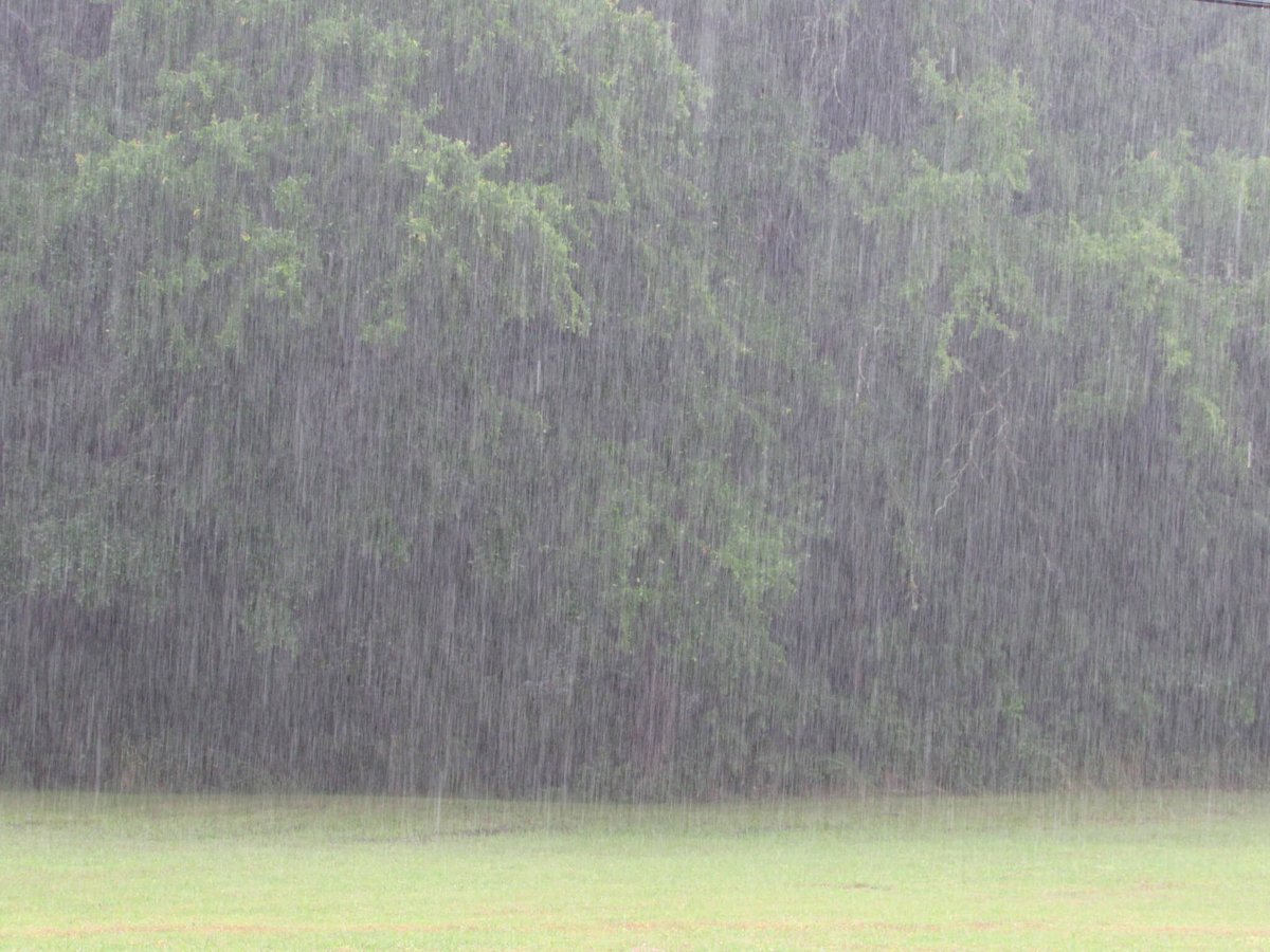 Afternoon thunderstorm has arrived.