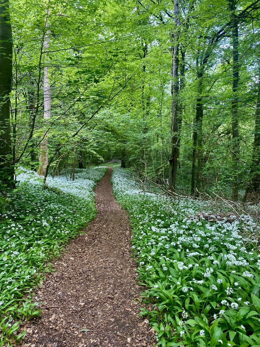 Wish you all a wonderful evening!