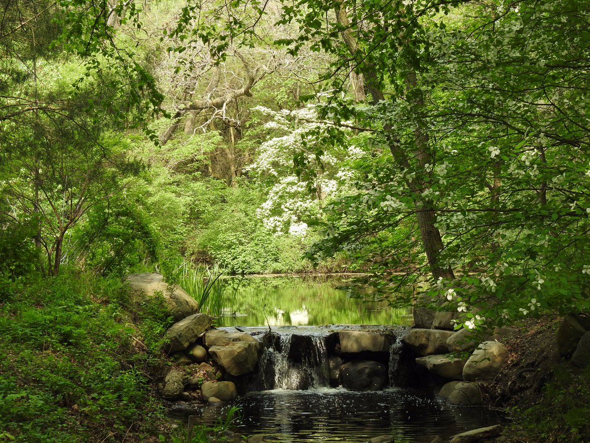 Beautiful Prospect Park, Brooklyn. <a href="/prospect_park/">Prospect Park</a>