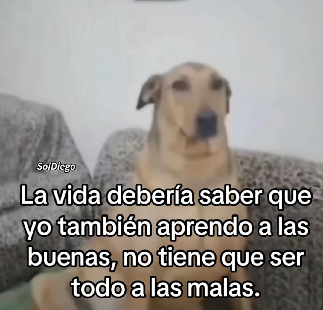 MexicoMagico's tweet photo. https://t.co/6iWcpXjOAs