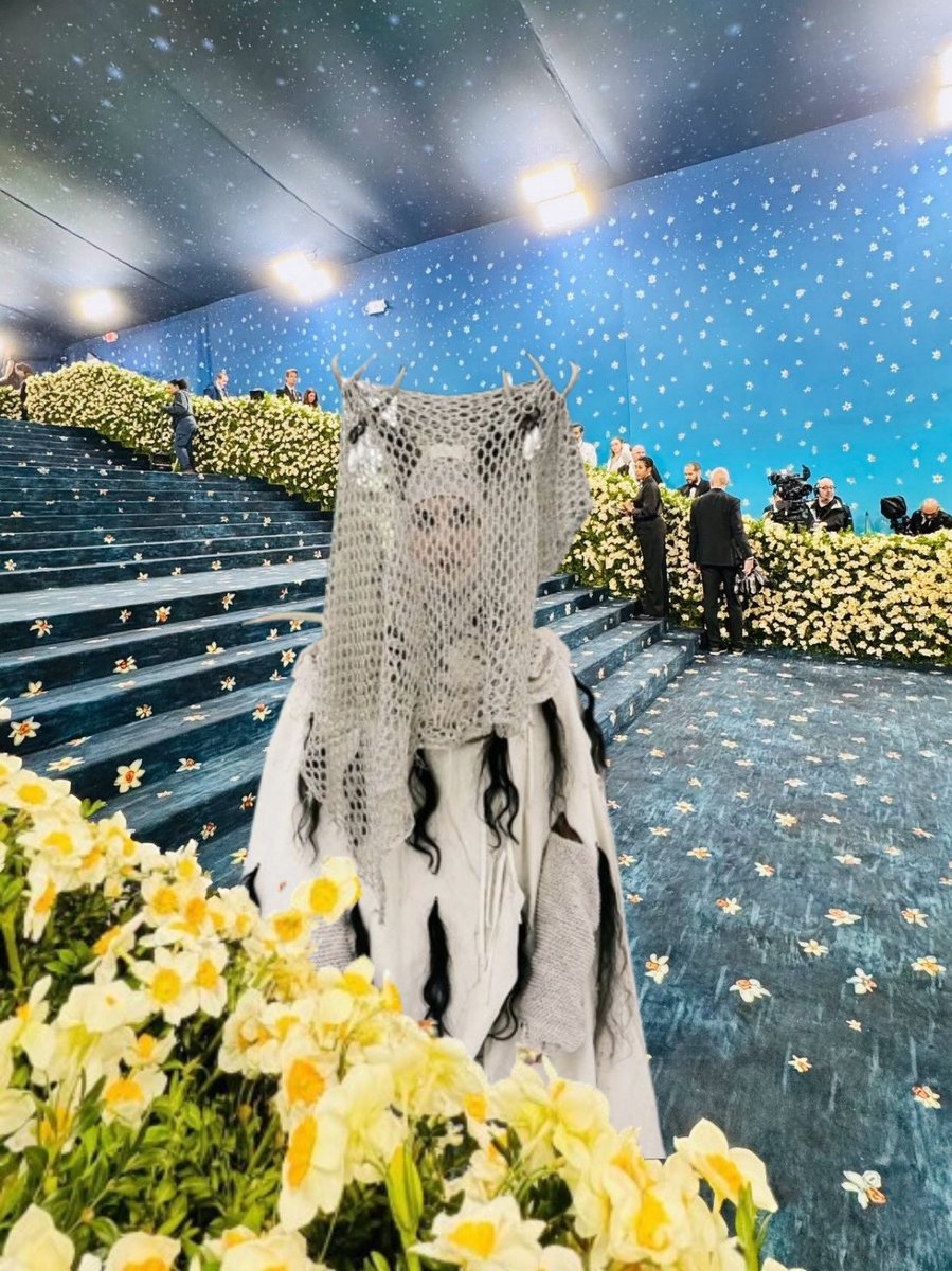 pavlovsdyke's tweet photo. Shauna Shipman arrives at the #MetGala https://t.co/kCGkhBaqHI
