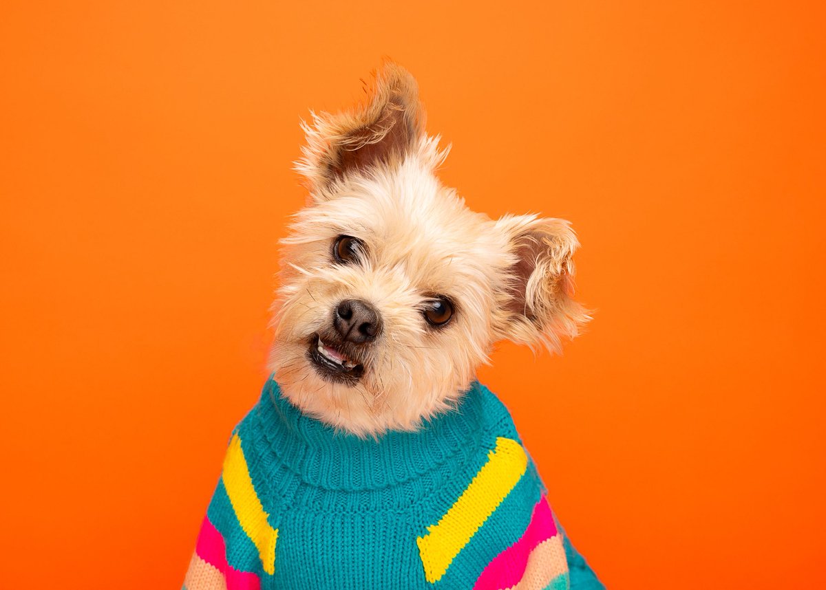 annaham.bsky.social tweet media