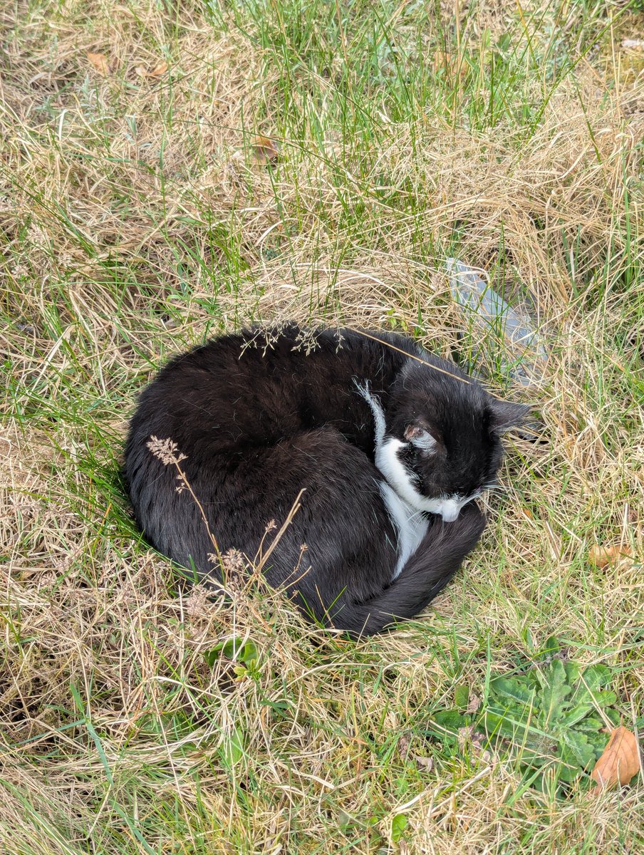 Storm⛈️ and Oswin🥇 tweet media