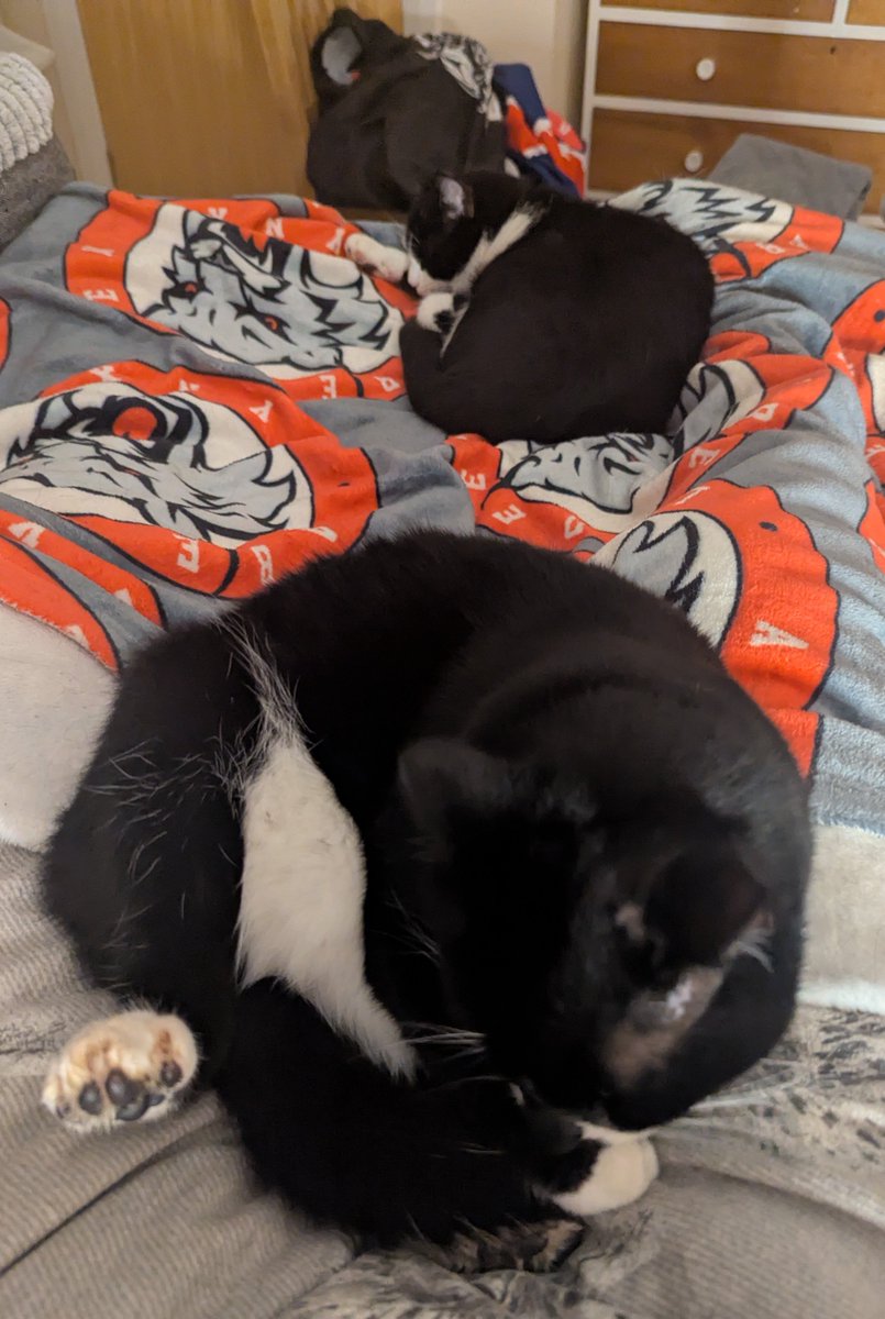 Storm⛈️ and Oswin🥇 tweet media