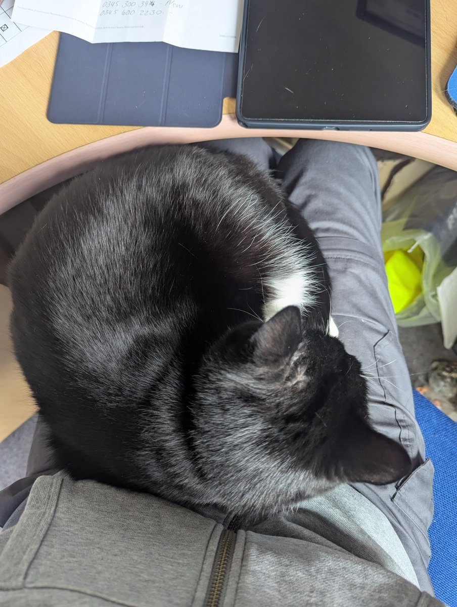 Storm⛈️ and Oswin🥇 tweet media