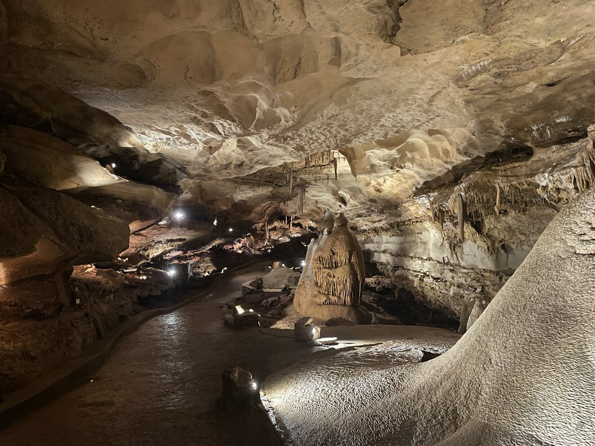 Señor Más tweet media