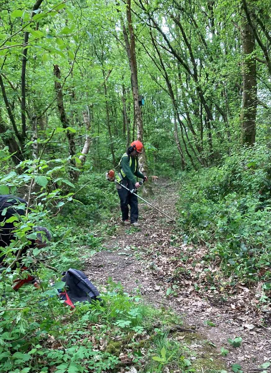 Friends of Tawd Valley (@tawdfriends) on Twitter photo On Friday, Team Tawd joined forces with Ranger Ben to tackle the pathway leading from The Devilโs Steps towards Mill Lane bridge which had become a little overgrown with brambles and encroaching greenery. On Friday, Team Tawd joined forces with Ranger Ben to tackle the pathway leading from The Devilโs Steps towards Mill Lane bridge which had become a little overgrown with brambles and encroaching greenery.