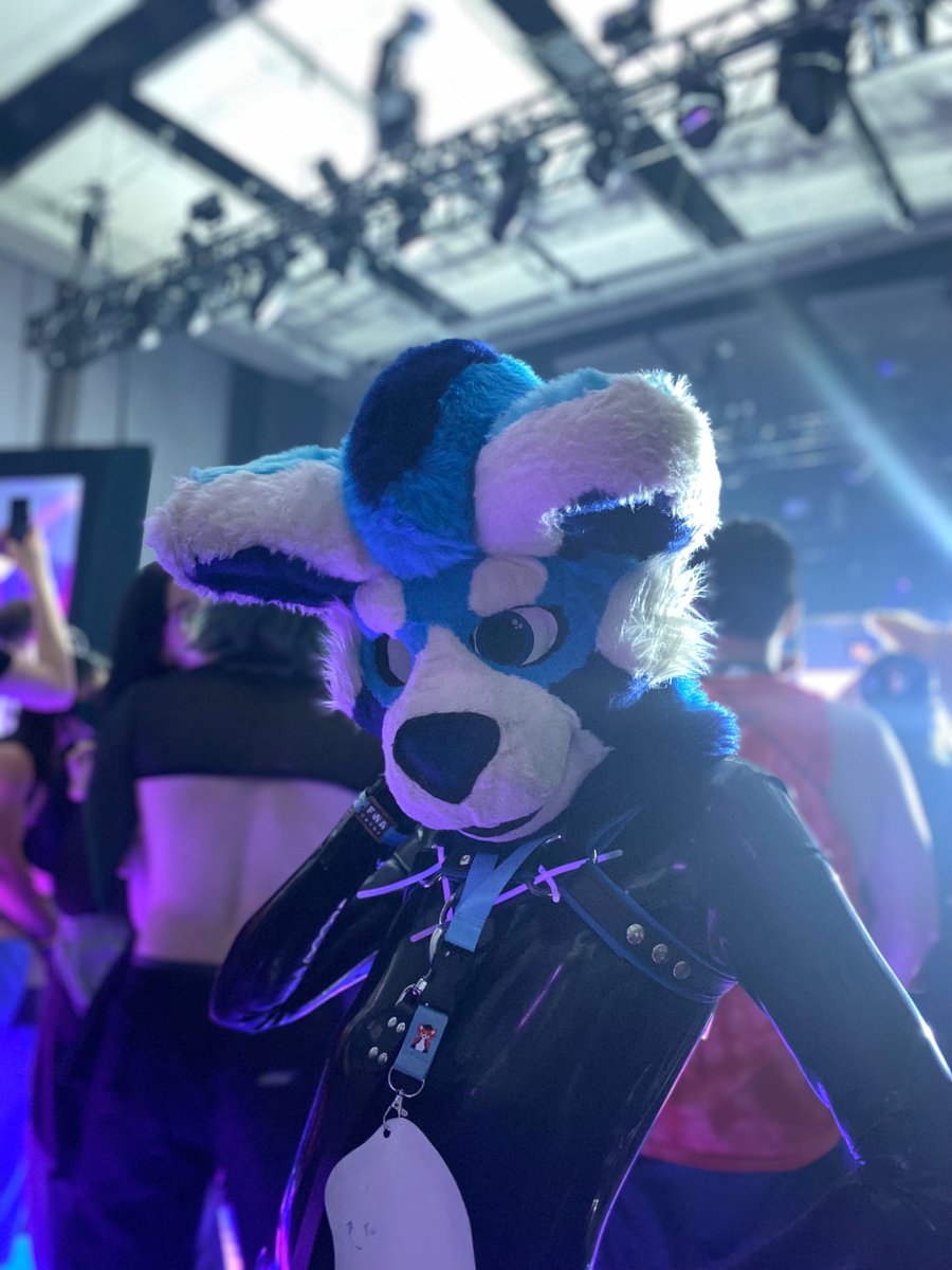 Catch me at FWA :3333