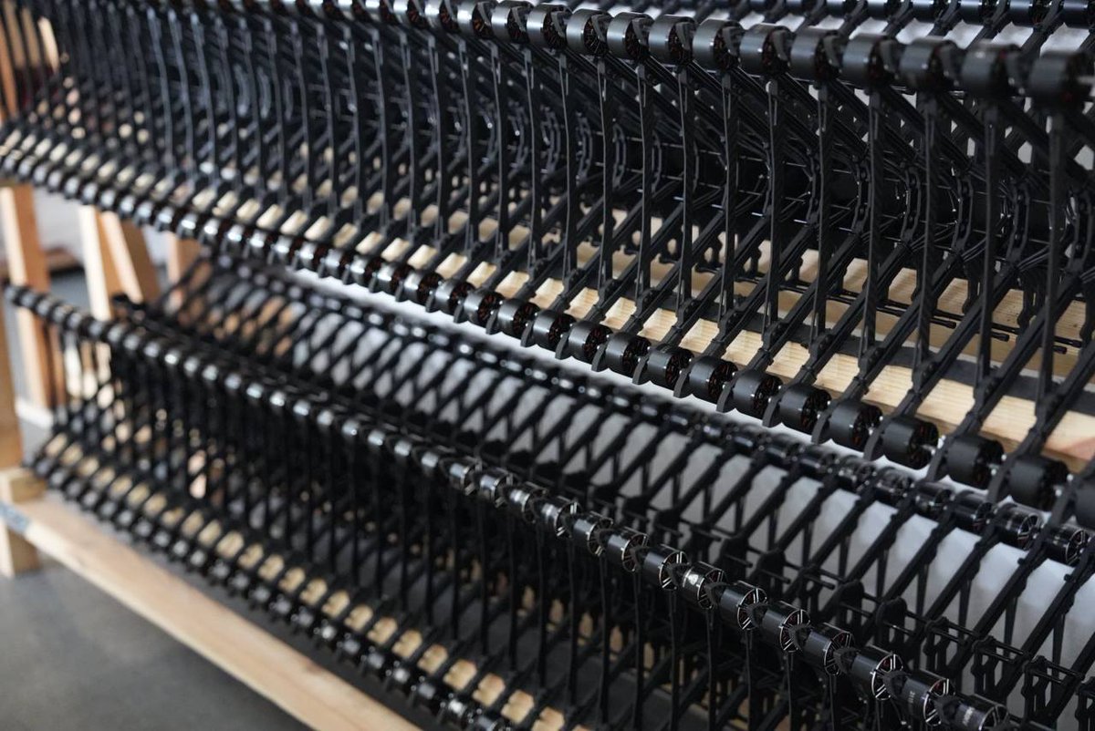 Wild Hornets tweet media