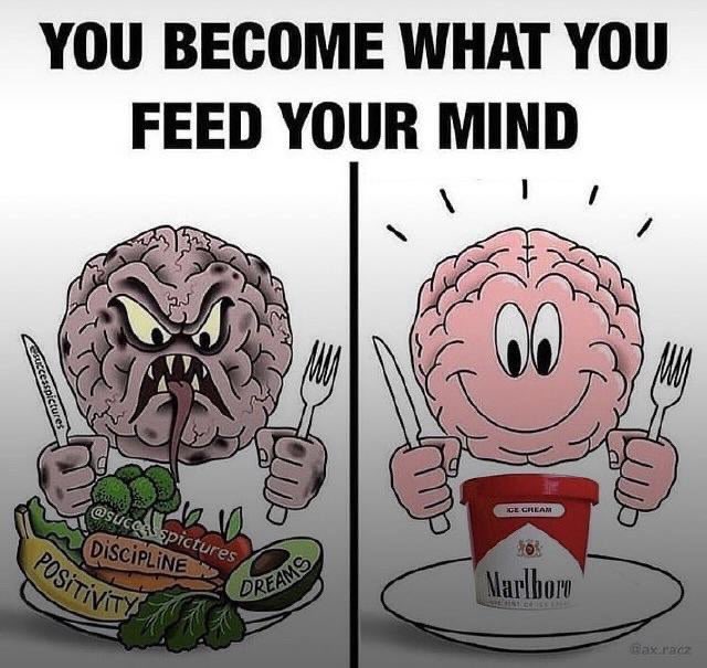 thedailymemes_'s tweet image. 