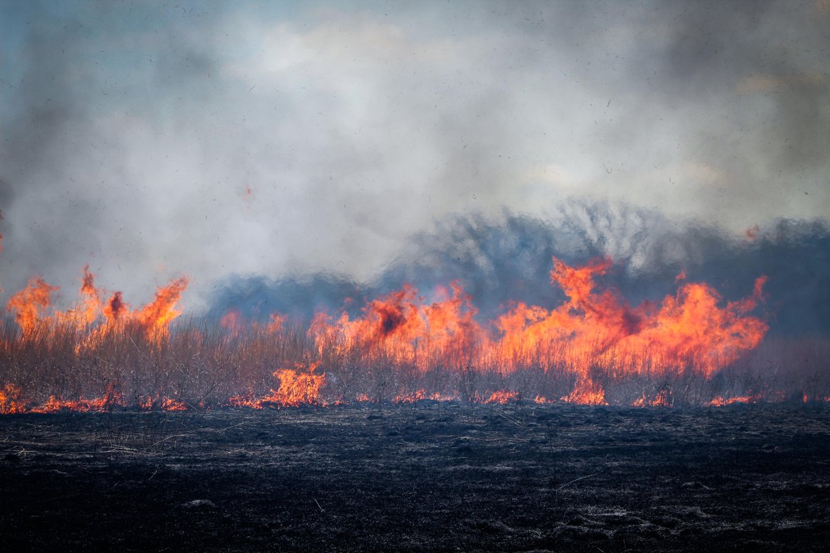 Wildfire season is EVERY SEASON. Wildfires can happen naturally or be caused by human activities. Awareness is crucial, especially when weather conditions are unstable and primed for fires to ignite and spread quickly. Wildfires can release a significant amount of smoke and