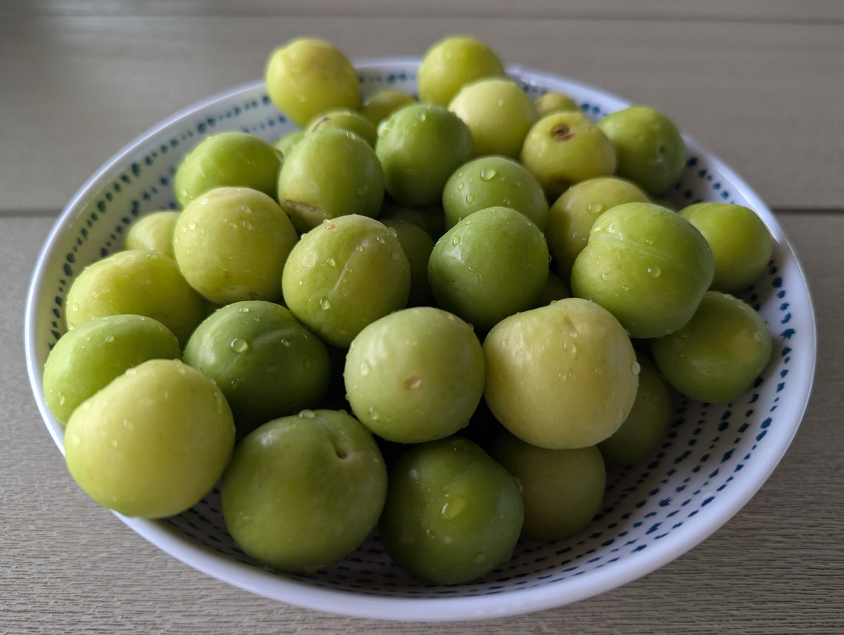 Emin Gün Sirer🔺⚔️ tweet media