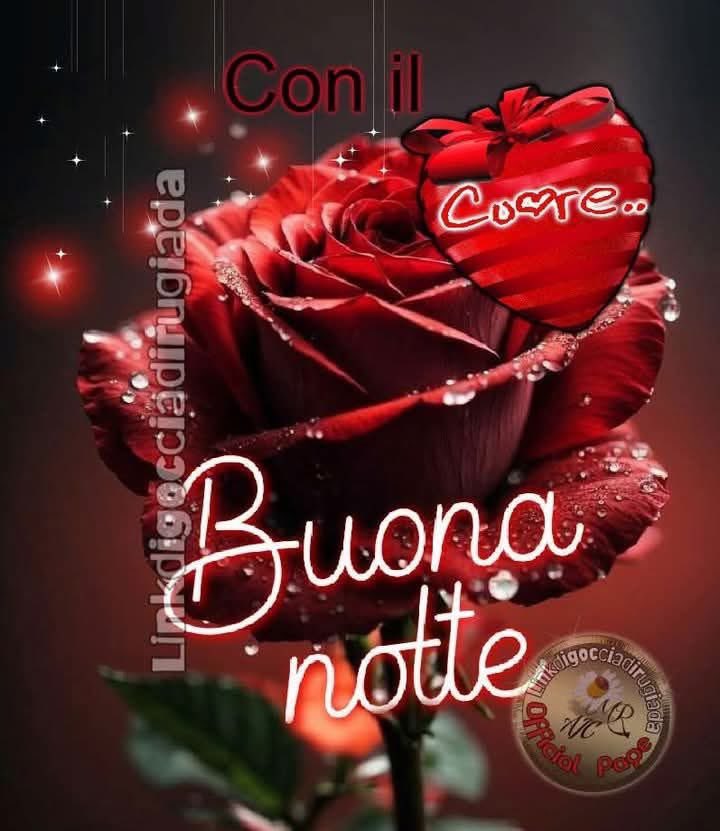 RITABIANCHi56 tweet media