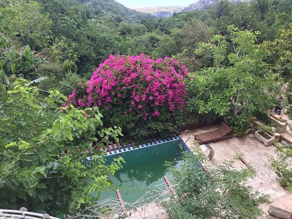 “Hızır’la İlyas’ın el ele tutuştuğu, yıldızların gökte birleştiği an dünyada her şey durur, akarsular kırp diye oldukları yerde donmuşçasına durur kalırlar, yeller esmez, denizler dalgalanmaz, yapraklar kıpırdamaz, damarlardaki kan akmaz, kuşlar uçmaz, #hıdrellez