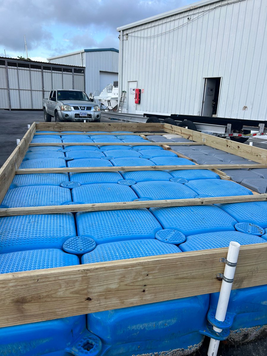 Least terns are nesting on Sint Maarten airport runway, risking birds and flights. This April, EPIC partnered with @PrincessJulianaAirport to create a nesting platform. Protect the Caribbean brown pelican at Fort Amsterdam w/ SXMDOET on May 16-17. Sign up: sxmdoet.com